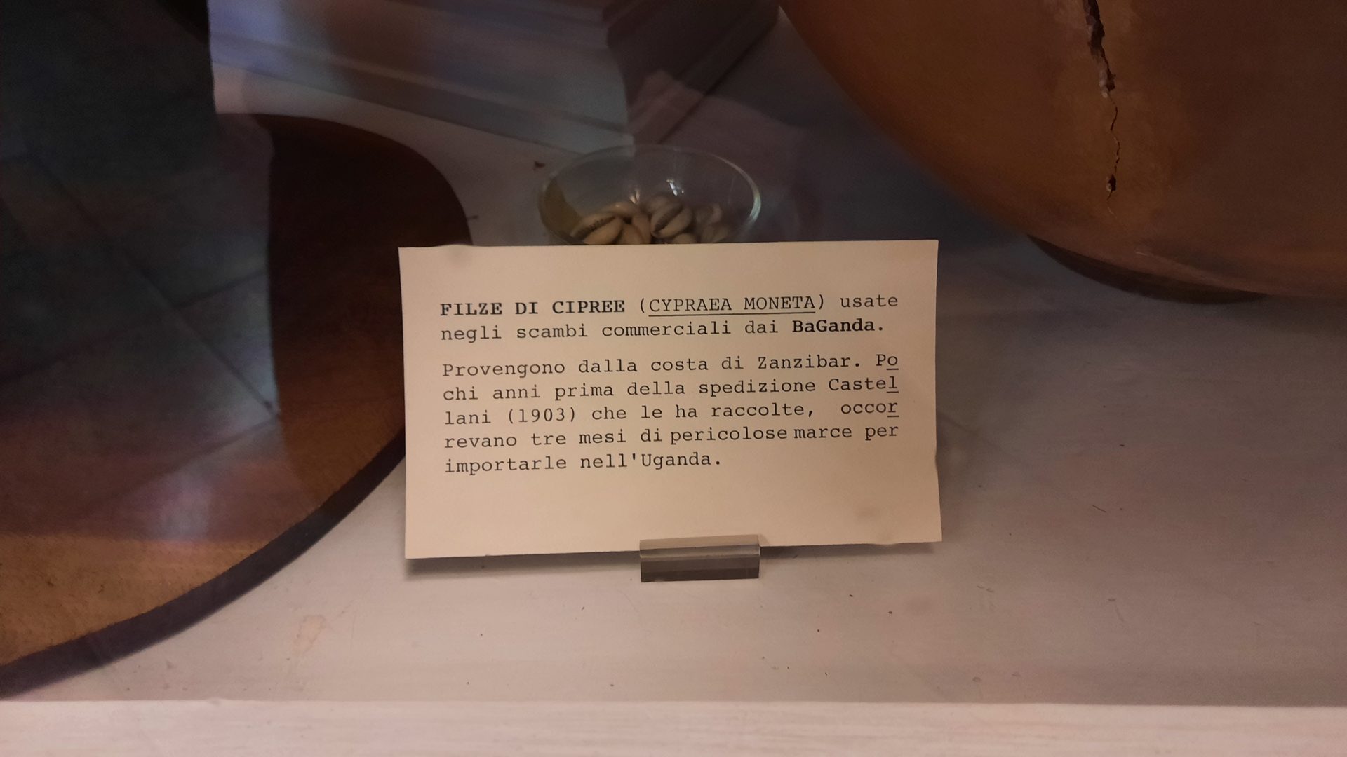 Aldo Castellani's ethnological collection, Florence - 05.jpg
